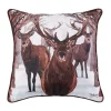 Hot Sale 👏 C&F 18 x 18 Deer Descending C 👍 -C&F Shop Belk 1081
