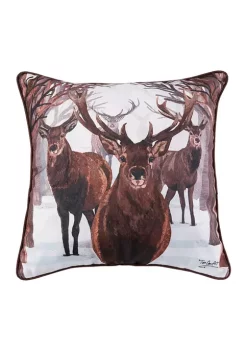 Hot Sale 👏 C&F 18 x 18 Deer Descending C 👍