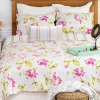 Brand new 🥰 C&F Liliann Floral Quilt Set 🔥 -C&F Shop Belk 1337