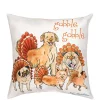 New 😀 C&F The Gobblers Indoor/Outdoor Pillow 💯 -C&F Shop Belk 450