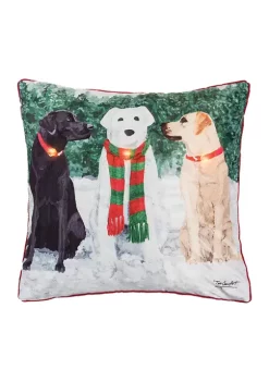 Wholesale 🥰 C&F Snow Labs LightUp LED 18 🧨